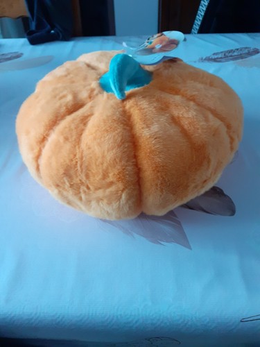 Citrouille halloween x 23 - 32,