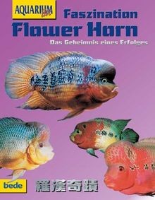 Flower horn faszination - flower, de