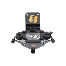 Araignée de bulle - DUCATI