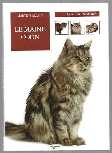 Chat race maine coon - chat,