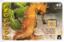 POLYNESIE TELECARTE /