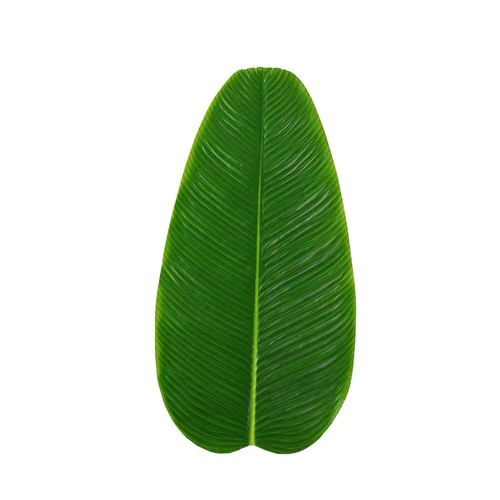 Simulation feuille bananier - feuille,
