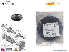 FLASQUE PROTECTION DE POULIE