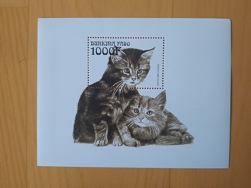 Burkina faso 1000f chatons - burkina,