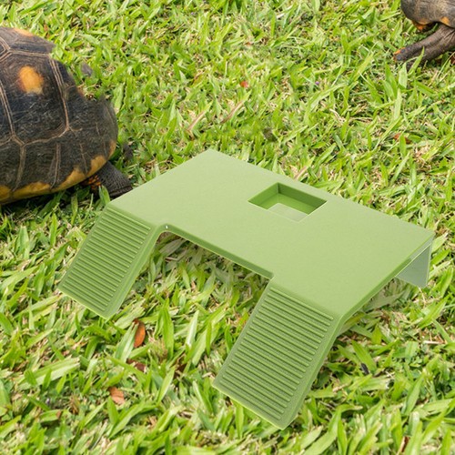 Accessoires pour tortues - accessoires,