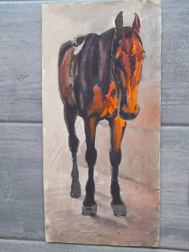 Dessin ancien aquarelle cheval - ancien,