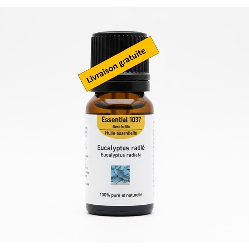 Huile essentielle eucalyptus - huile,
