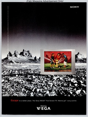 Sony wega flat screen - flat,