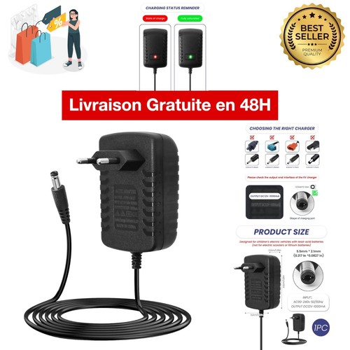 Chargeur 12v voiture - chargeur,