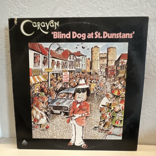 Caravan blind dog at - caravan,