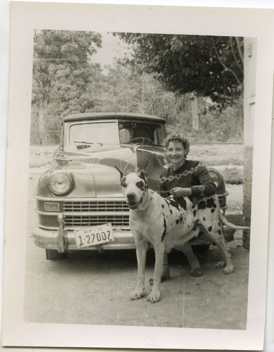 Old photo vintage snapshot - photo,