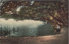 Carte postale, carte postale