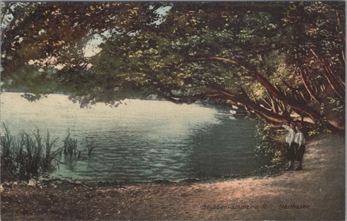 Carte postale - carte,