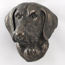 Teckel à poil dur tête pendante Art-Dog