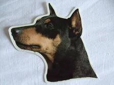 GRAND AUTOCOLLANT  - motif