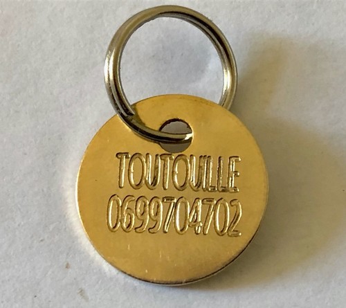 Medaille pour petit chien - medaille,