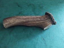 UN GROS BOIS MUE CERF AVEC