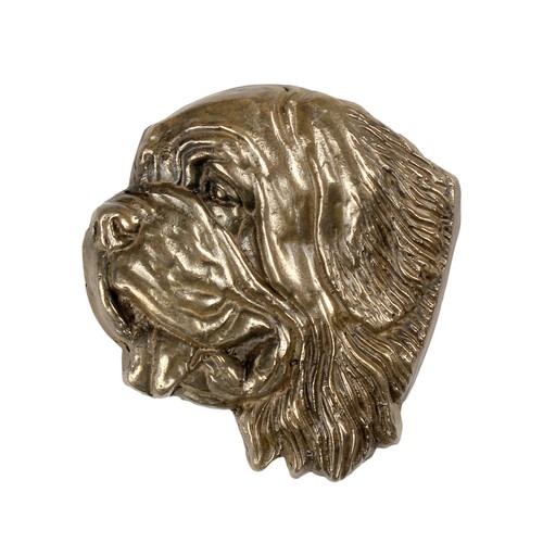 Saint bernard chien - saint-bernard,,