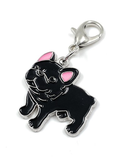 Bouledogue chien animal - bouledogue,