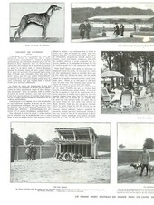 FIREFIGHTERS (78) / STE-GEMME GREYHOUNDS RACES / ADP 1929