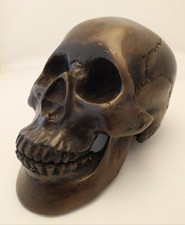 Full Size 1920/1930 Solid Bronze (Death Head, Vanity) Skull