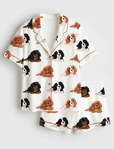 Cavalier king charles spaniel - king,