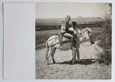 Young Woman White Horse Pony Wind Hair - Vintage Photo Snapshot 1967
