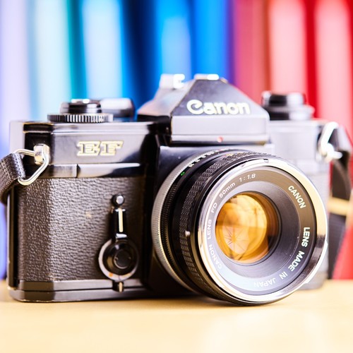 Canon 50mm f - +,