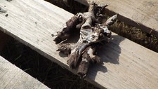 Natural Driftwood Aquarium Terrarium Vivarium Art Craft Woodworking Display