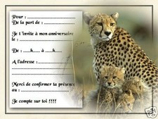 Cartes invitation - 12,