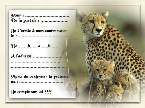 Cartes invitation - ou, 12