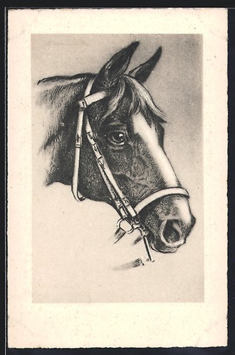 Cheval équitation avec - cheval, d'équitation