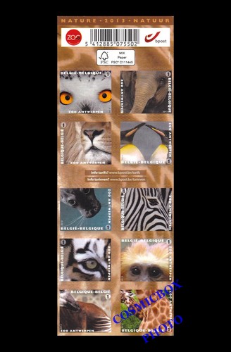 Carnet timbres animaux - timbres, 50g