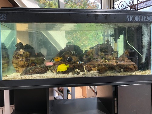 Aquarium avec meuble - avec,