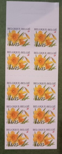 Carnet fleurs buzin - buzin, belgique