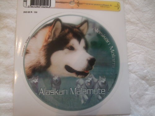 Autocollant motif chien - autocollant,