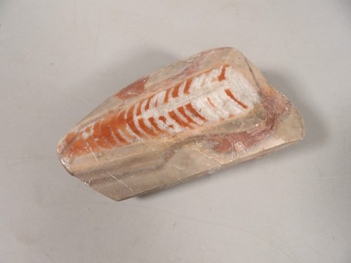 Pierre contenant fossile - un,