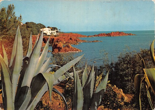 Esterel les rochers - 06,