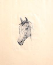 Engraving by Evert van Muyden
