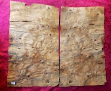 Loupe d'orme brut :Placage