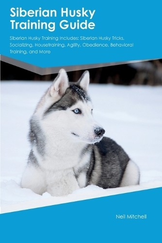 Neil mitchell siberian husky - neil,