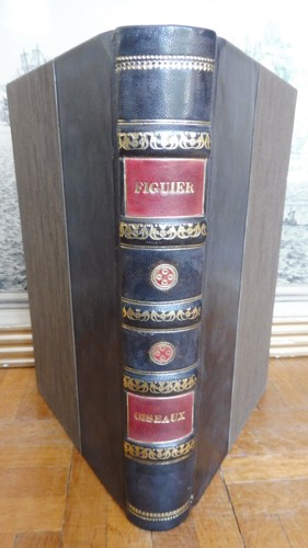 Les oiseaux - oiseaux, figuier)