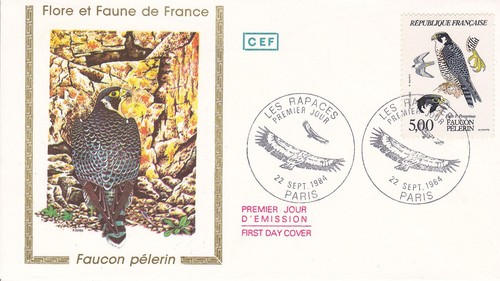 Enveloppe 1er jour rapace - 1er,