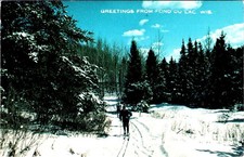 Fond du Lac, WI Wisconsin  CROSS COUNTRY SKIERS  1984 Chrome Skiing Postcard