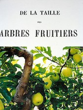 DE LA TAILLE DES ARBRES