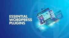Thèmes & Plug-ins Wordpress