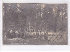 LEVER: wood, tree "president" - very good condition