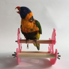 Jouet à Mâcher Pour