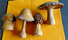 4 CHAMPIGNONS EN BOIS ANCIENS