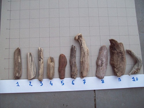 Lot morceaux de bois - lot,
